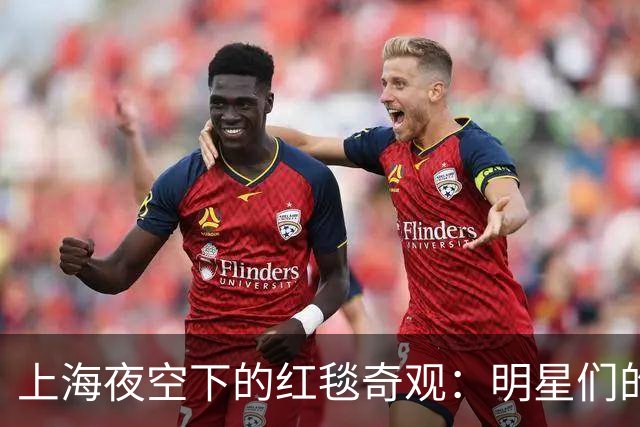 上海夜空下的红毯奇观：明星们的搞笑瞬间